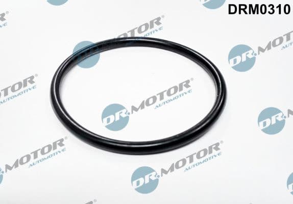 Gasket, throttle body DRM0310