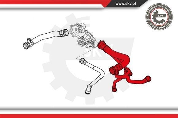 Radiator Hose 24SKV245