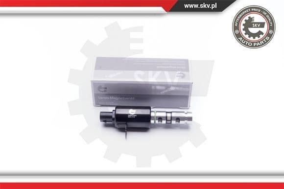 Control Valve, camshaft adjustment 39SKV024