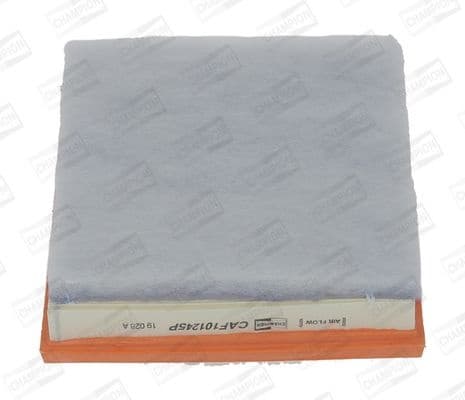 Air Filter CAF101245P