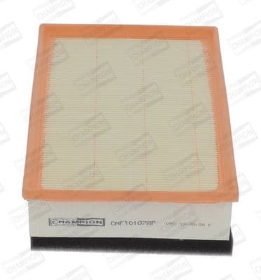 Air Filter CAF101078P
