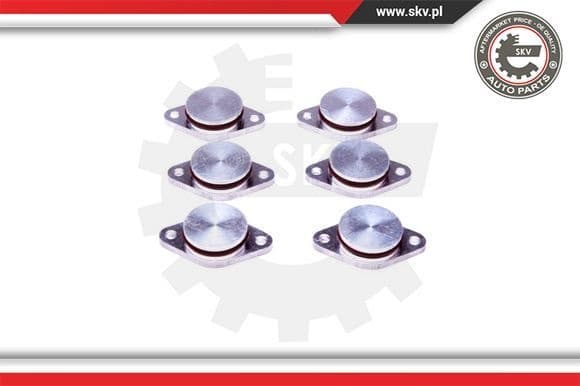 Repair Kit, intake manifold module 49SKV542 - image 2