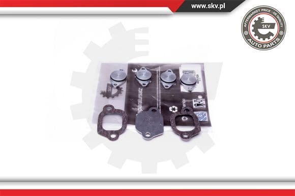 Repair Kit, intake manifold module 49SKV529