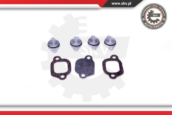 Repair Kit, intake manifold module 49SKV529 - image 2