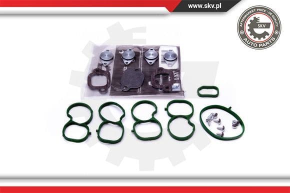 Repair Kit, intake manifold module 49SKV512
