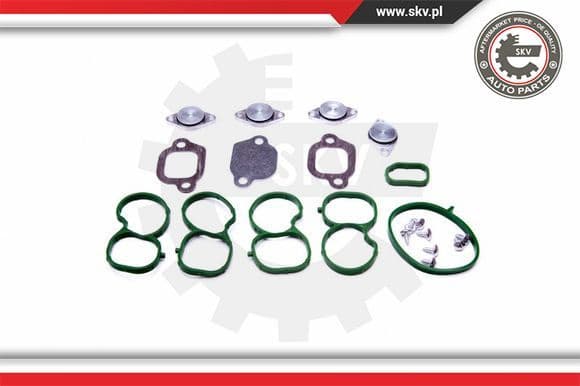 Repair Kit, intake manifold module 49SKV512 - image 2