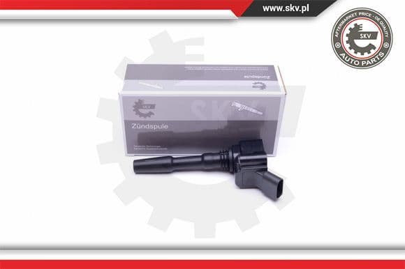 Ignition Coil 03SKV290