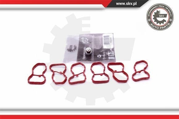 Repair Kit, intake manifold module 49SKV522