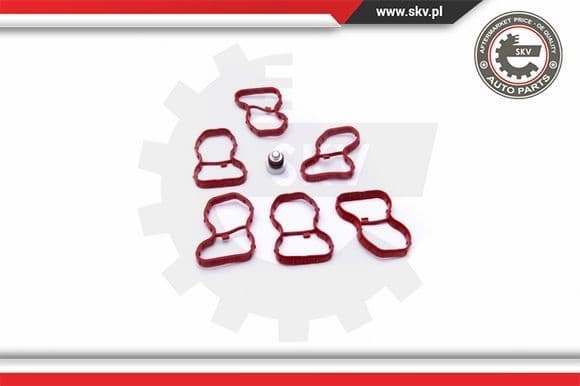 Repair Kit, intake manifold module 49SKV522 - image 2