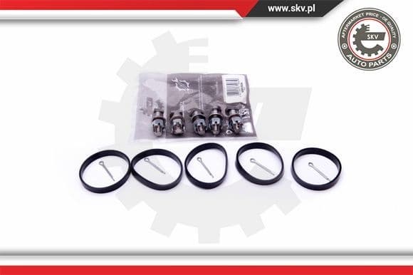Repair Kit, intake manifold module 49SKV524