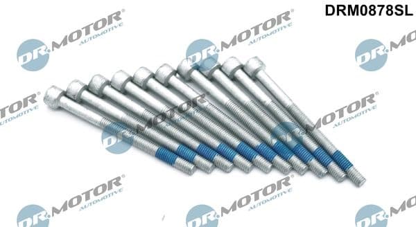 Screw, injection nozzle holder DRM0878SL