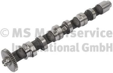Camshaft 50007676