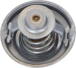 Thermostat, coolant 725162