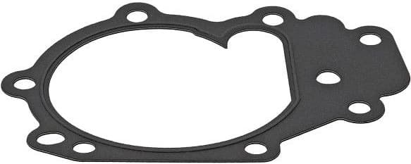 Gasket, water pump 875.390