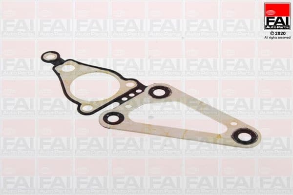 Gasket, timing case TC1468