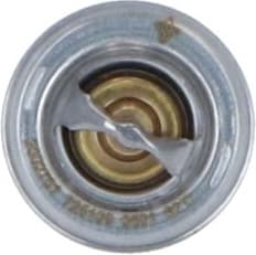 Thermostat, coolant 725109