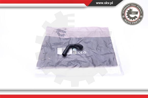 Hose, crankcase ventilation 31SKV128