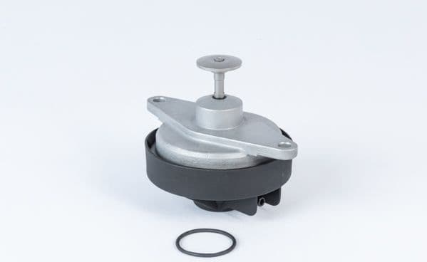 EGR Valve 710920R (BorgWarner (Wahler))