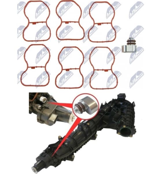 Plug, intake manifold BKS-BM-022