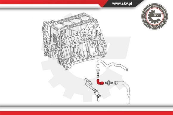 Hose, crankcase ventilation 31SKV130 - image 4
