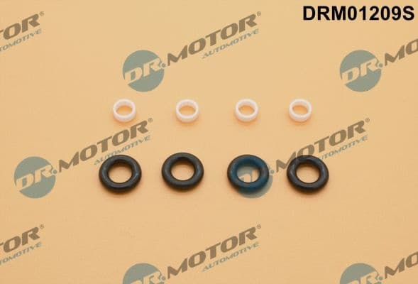DRM01209S