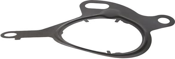 Gasket, vacuum pump 767.120