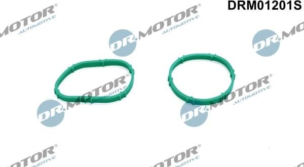 Gasket Set, intake manifold DRM01201S