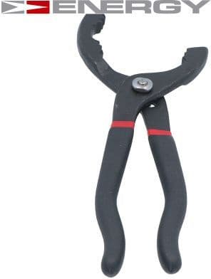 Automobilis: FORD C-MAX II (DXA/CB7, DXA/CEU) 2.0 Energi 103kW from 201501