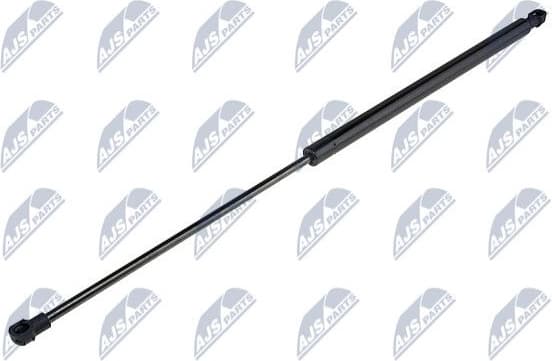 Gas Spring, bonnet AE-CT-016