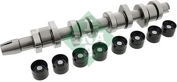 Camshaft Kit 428004230