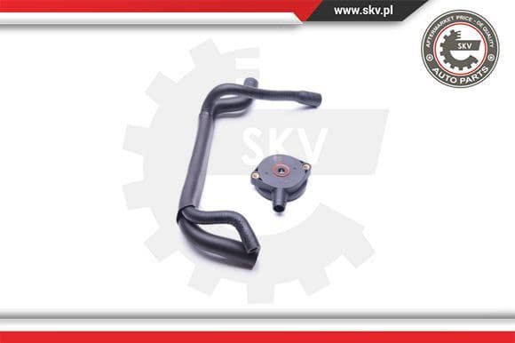 Repair Kit, crankcase ventilation 31SKV101