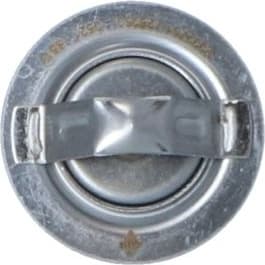 Thermostat, coolant 725060