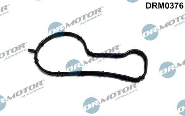 Gasket, thermostat housing DRM0376