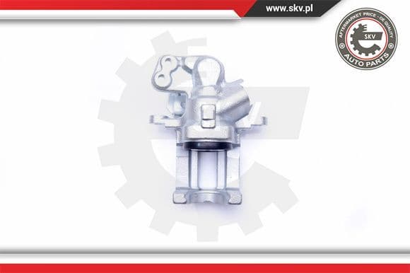 Brake Caliper 42SKV213