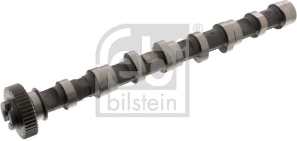 Camshaft 176931