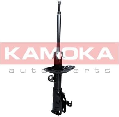 Shock Absorber 2000505