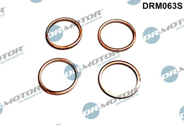 Seal Ring, injector DRM063S