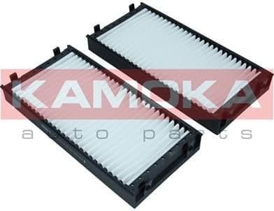 Filter, cabin air F421101 - image 2