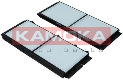 Filter, cabin air F421201 - image 4