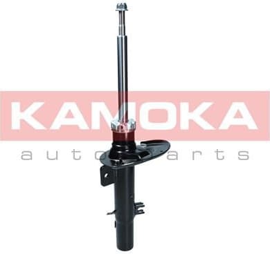 Shock Absorber 2000188
