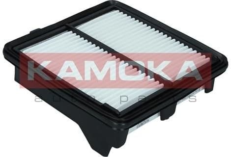 Air Filter F245401