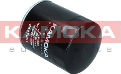 Oil Filter F117801 - image 2