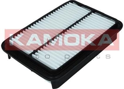 Air Filter F249001