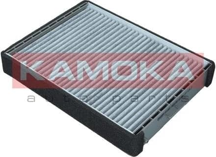 Filter, cabin air F516901