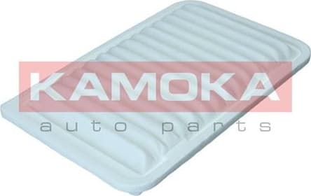 Air Filter F251501