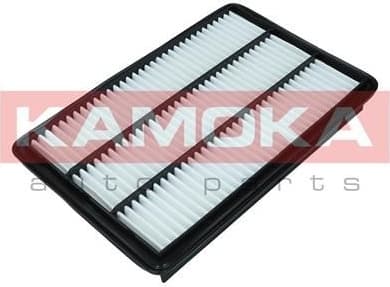 Air Filter F249801