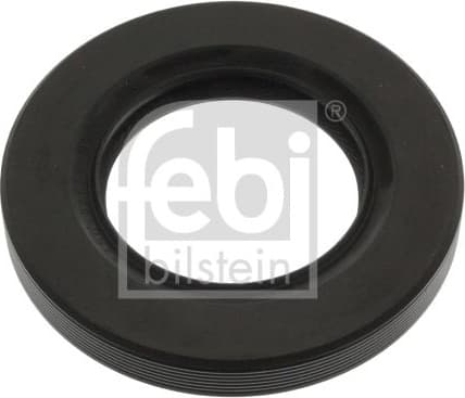 Shaft Seal, differential 100277