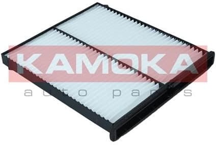 Filter, cabin air F418601 - image 4