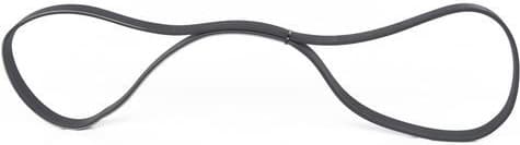 V-ribbed Belt 1987945744