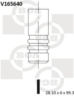 Intake Valve V165640